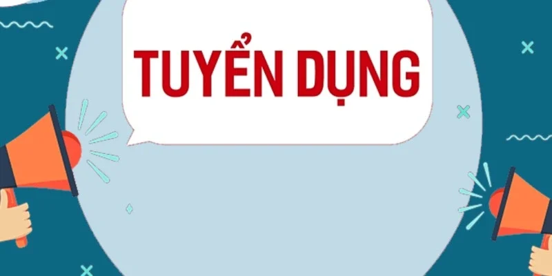 Quy trình ứng tuyển tại nền tảng